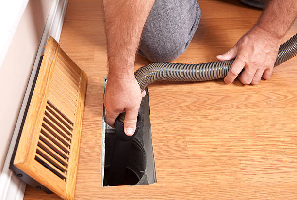 Best Air Duct Mold Removal  in Gallitzin, PA